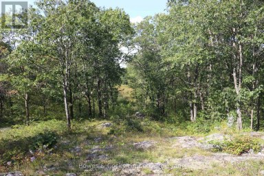 LT 22-24 CON 1 LAKE Marmora and Lake (Lake Ward) Ontario photo 43