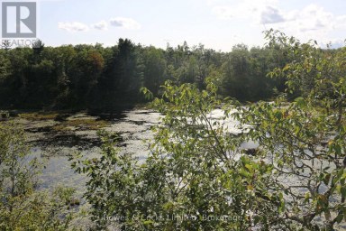 LT 22-24 CON 1 LAKE Marmora and Lake (Lake Ward) Ontario photo 48