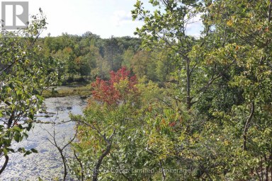 LT 22-24 CON 1 LAKE Marmora and Lake (Lake Ward) Ontario photo 49