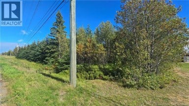 1.7 Acres Rte 11 Brantville New Brunswick photo 3