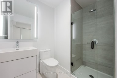 205 - 308 JARVIS STREET Toronto (Waterfront Communities) Ontario photo 3