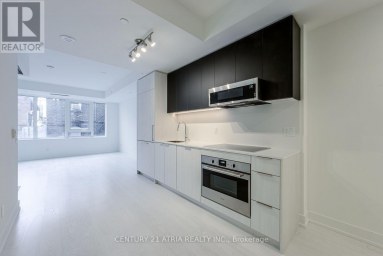 205 - 308 JARVIS STREET Toronto (Waterfront Communities) Ontario photo 4