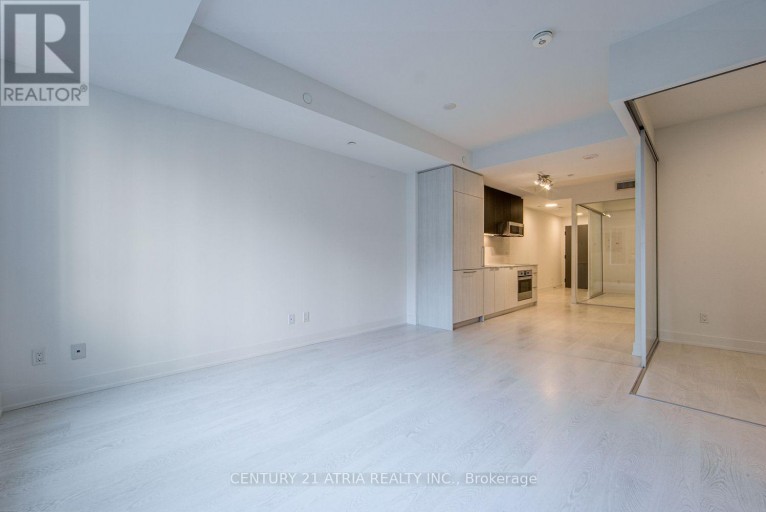 205 - 308 JARVIS STREET, Toronto (Waterfront Communities), Ontario, M5A2P2
