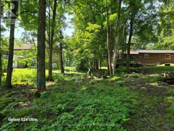 179 NORTHERN AVENUE Trent Lakes Ontario photo 5
