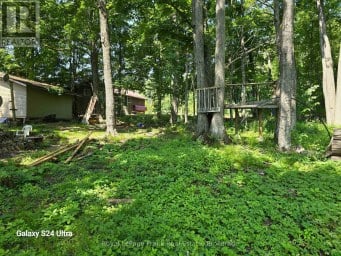179 NORTHERN AVENUE Trent Lakes Ontario photo 6