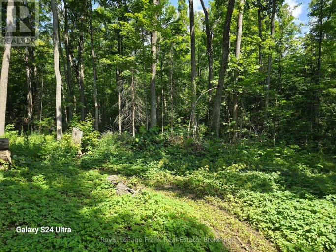 179 NORTHERN AVENUE, Trent Lakes, Ontario, K0M1A0