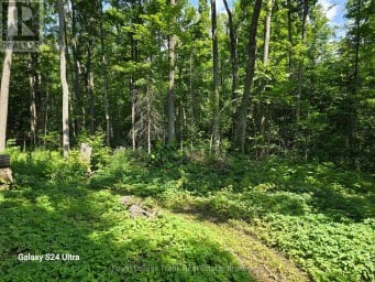 179 NORTHERN AVENUE Trent Lakes Ontario photo 7