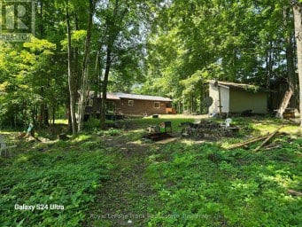 179 NORTHERN AVENUE Trent Lakes Ontario photo 8