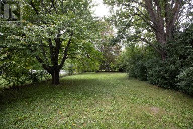 MAIN FLOOR - 387 CROSBY AVENUE Richmond Hill (Crosby) Ontario photo 25