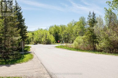 105 WOODLAND PARK ROAD Blue Mountains Ontario photo 47