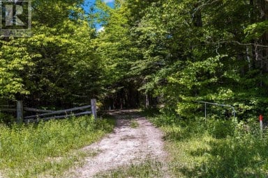 325719 DURHAM ROAD B Grey Highlands Ontario photo 40