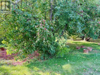 7567 PCL 611 HIGHWAY N Alberton Ontario photo 23