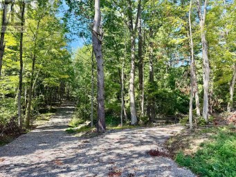 00 NORTH LOT HIGHWAY 62 Madoc Ontario photo 1