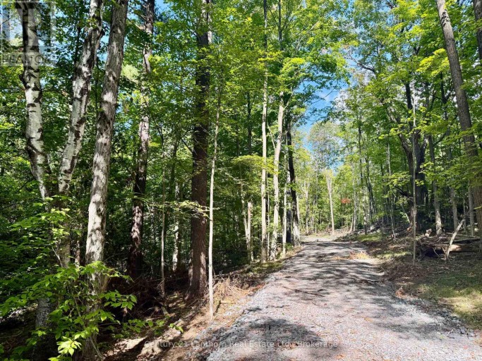 00 NORTH LOT HIGHWAY 62, Madoc, Ontario, K0K2K0