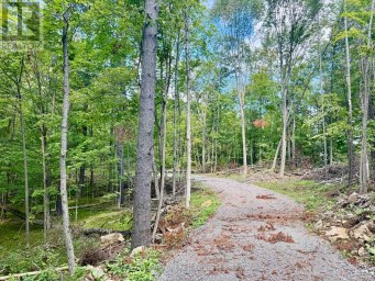 00 NORTH LOT HIGHWAY 62 Madoc Ontario photo 3