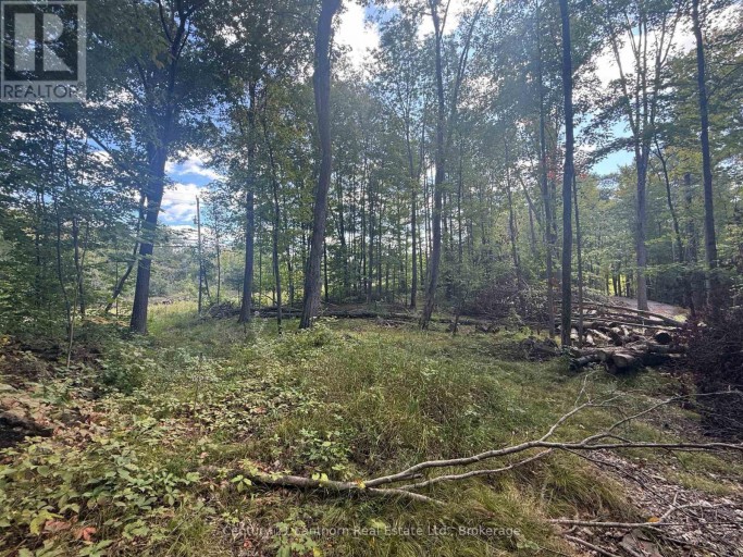00 NORTH LOT HIGHWAY 62, Madoc, Ontario, K0K2K0