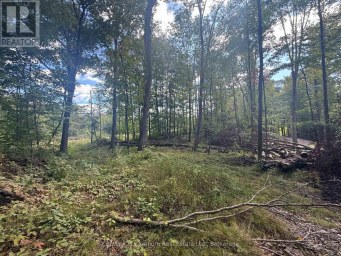 00 NORTH LOT HIGHWAY 62 Madoc Ontario photo 5