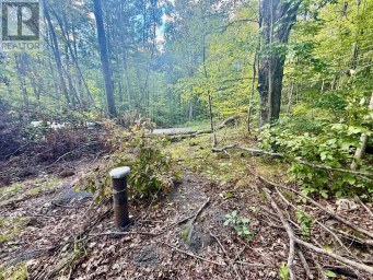 00 NORTH LOT HIGHWAY 62 Madoc Ontario photo 6