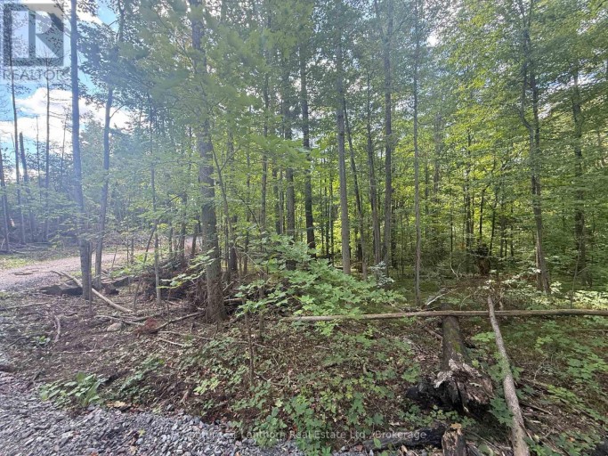 00 NORTH LOT HIGHWAY 62, Madoc, Ontario, K0K2K0