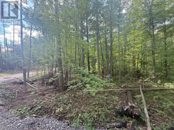 00 NORTH LOT HIGHWAY 62 Madoc Ontario photo 8