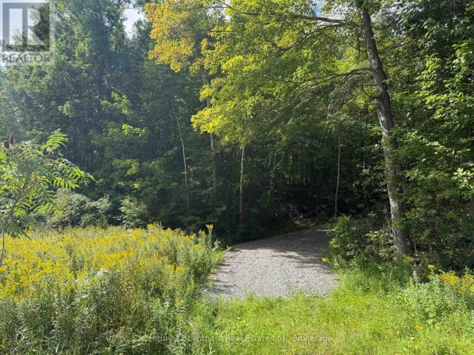 00 SOUTH LOT HIGHWAY 62, Madoc, Ontario, K0K2K0