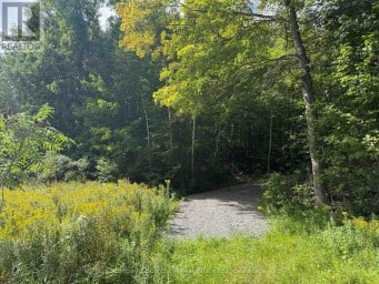 00 SOUTH LOT HIGHWAY 62 Madoc Ontario photo 1
