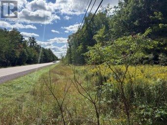00 SOUTH LOT HIGHWAY 62 Madoc Ontario photo 2