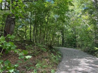 00 SOUTH LOT HIGHWAY 62 Madoc Ontario photo 3