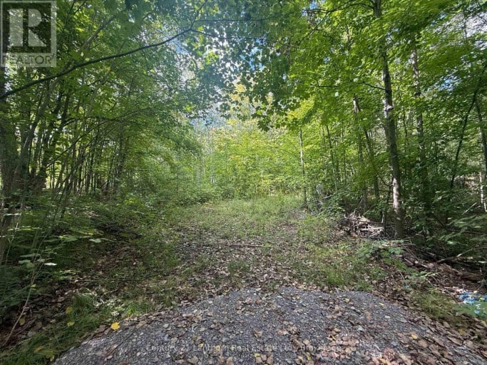 00 SOUTH LOT HIGHWAY 62, Madoc, Ontario, K0K2K0