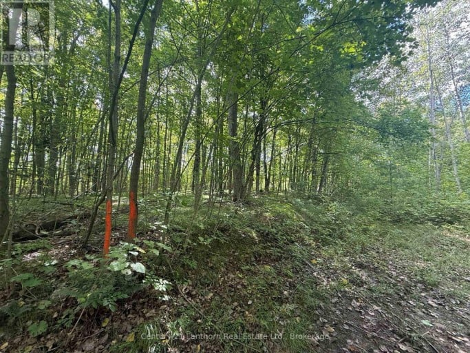 00 SOUTH LOT HIGHWAY 62, Madoc, Ontario, K0K2K0