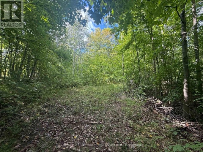 00 SOUTH LOT HIGHWAY 62, Madoc, Ontario, K0K2K0