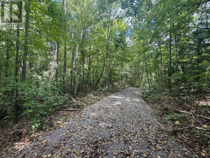 00 SOUTH LOT HIGHWAY 62, Madoc, Ontario, K0K2K0