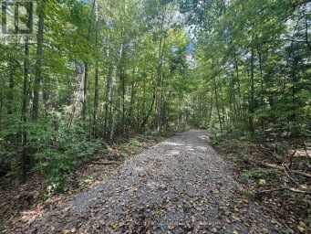 00 SOUTH LOT HIGHWAY 62 Madoc Ontario photo 7