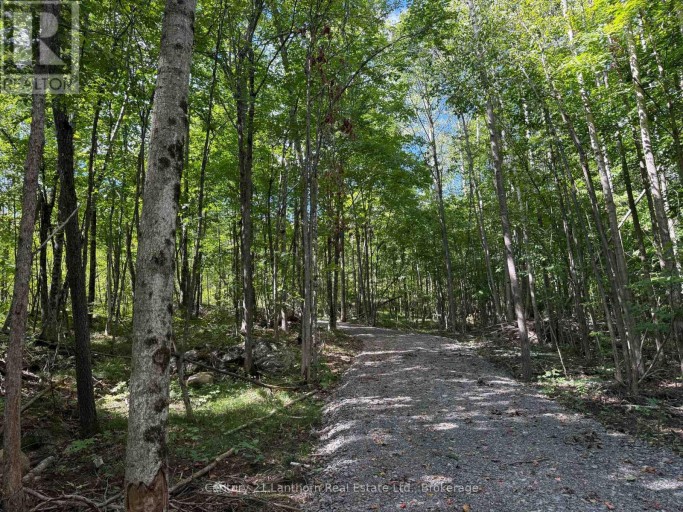 00 MIDDLE LOT HIGHWAY 62, Madoc, Ontario, K0K2K0