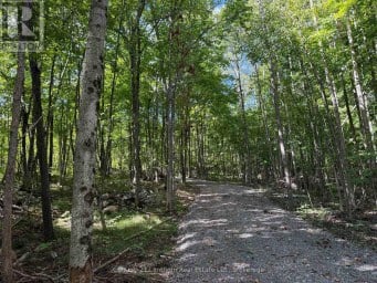 00 MIDDLE LOT HIGHWAY 62 Madoc Ontario photo 1