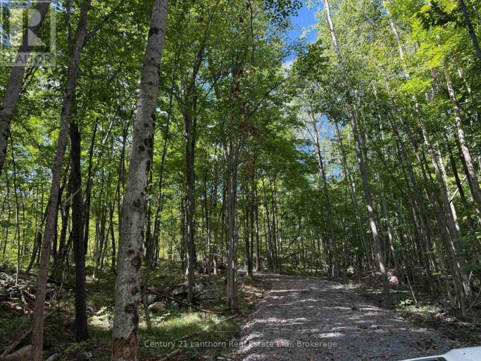00 MIDDLE LOT HIGHWAY 62, Madoc, Ontario, K0K2K0