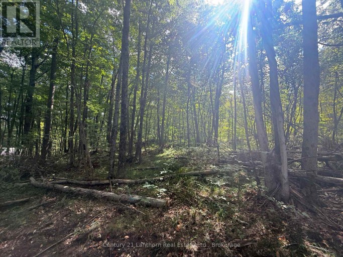 00 MIDDLE LOT HIGHWAY 62, Madoc, Ontario, K0K2K0