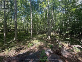 00 MIDDLE LOT HIGHWAY 62 Madoc Ontario photo 4