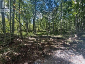00 MIDDLE LOT HIGHWAY 62 Madoc Ontario photo 6