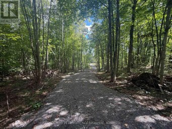 00 MIDDLE LOT HIGHWAY 62 Madoc Ontario photo 7