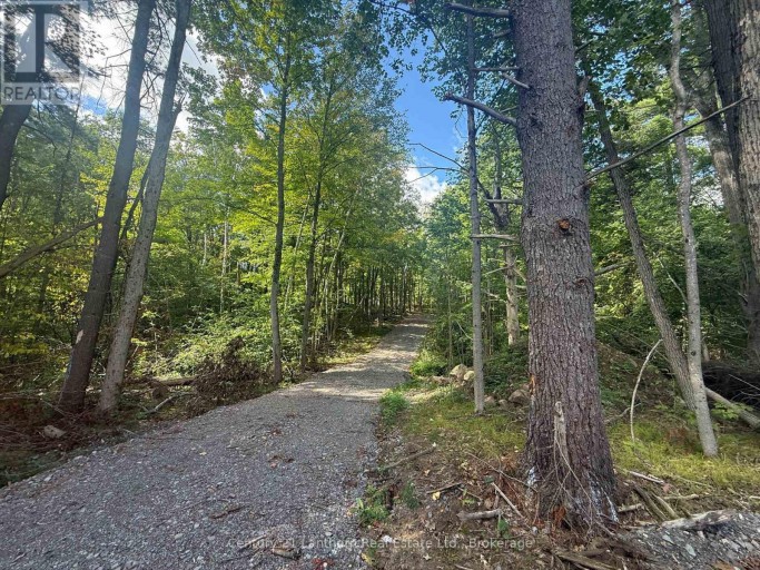00 MIDDLE LOT HIGHWAY 62, Madoc, Ontario, K0K2K0