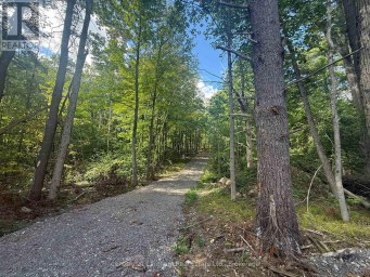 00 MIDDLE LOT HIGHWAY 62 Madoc Ontario photo 8