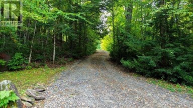 1827 MCGILLVRAY ROAD Highlands East (Cardiff Ward) Ontario photo 27