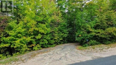 1827 MCGILLVRAY ROAD Highlands East (Cardiff Ward) Ontario photo 28