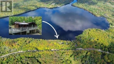1827 MCGILLVRAY ROAD Highlands East (Cardiff Ward) Ontario photo 40