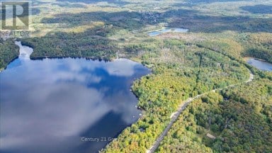 1827 MCGILLVRAY ROAD Highlands East (Cardiff Ward) Ontario photo 50