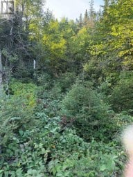0 OFF HWY 17 S Schreiber Ontario photo 3