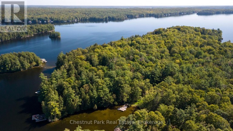 #25 - 1160 WHITESIDE ROAD, Muskoka Lakes (Medora), Ontario, P0B1J0