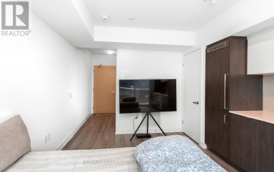 3110 - 138 DOWNES STREET Toronto (Waterfront Communities) Ontario photo 15