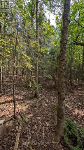LOT 1 ON-17 / TRANS CANADA HIGHWAY, Plummer Additional, Ontario, P0R1C0